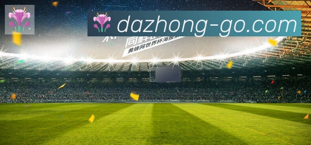 未来规划